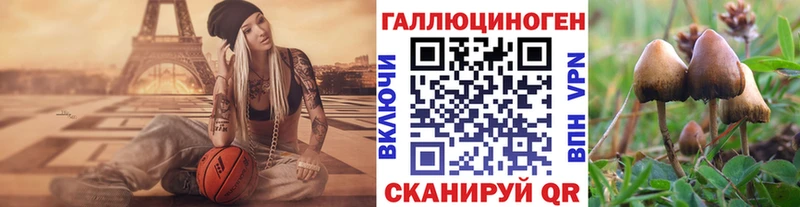 где продают   Старый Оскол  Галлюциногенные грибы Magic Shrooms 