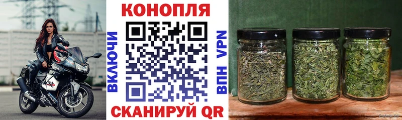 Шишки марихуана Amnesia  Старый Оскол 